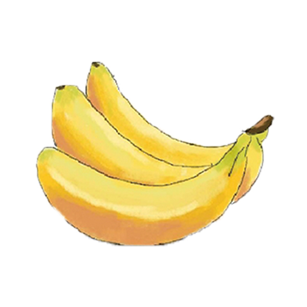 �x�W���G-����